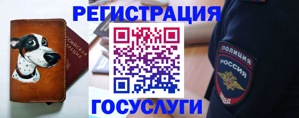 временная регистрация в квартире в Шагонаре